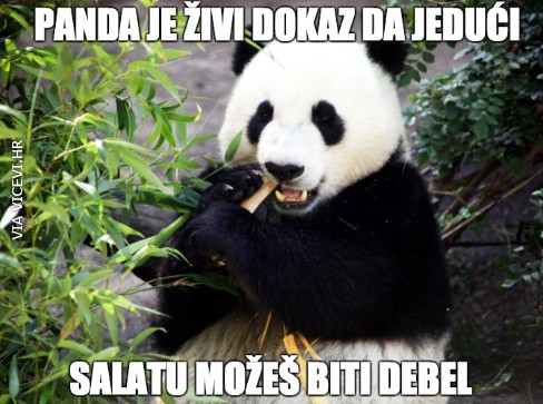 Panda je živi dokaz da jedući samo salatu kile ne idu dolje
