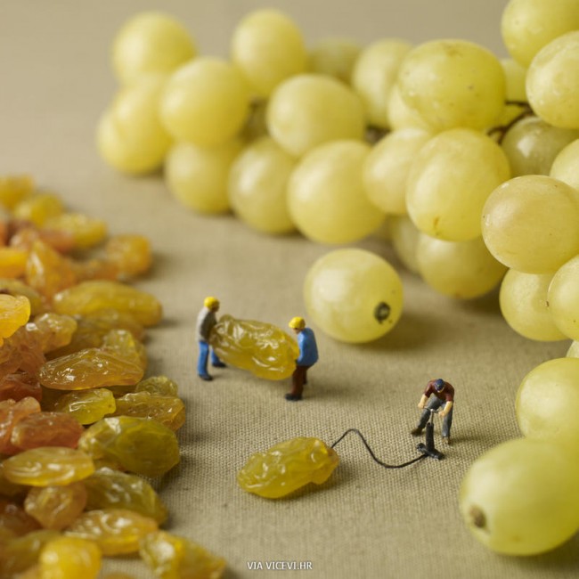Evo kako se proizvode grožđice.