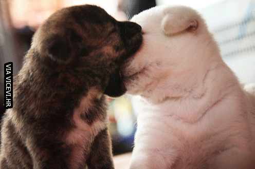 Prvi poljubac je uvijek neugodan