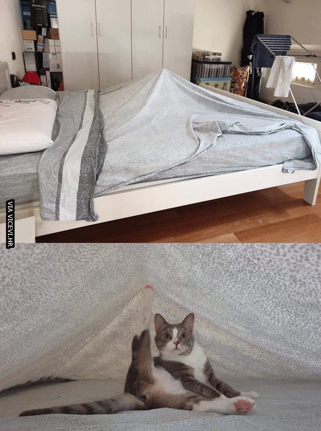 Netko je jutros postavio šator u sobi