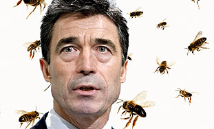 Danskog premijera izbole pčele