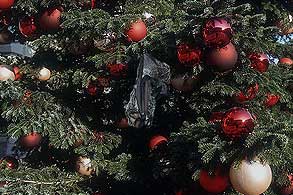 Amerikanka u božićnom drvcu pronašla šišmiša