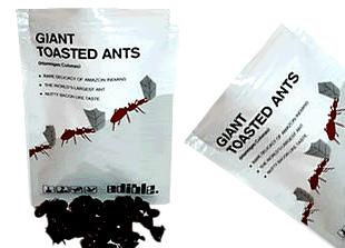 Tostirani gigantski mravi