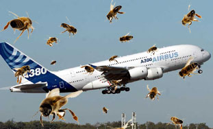 Roj pčela prizemljio zrakoplov