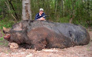 Dječak ubio divlju svinju tešku pola tone