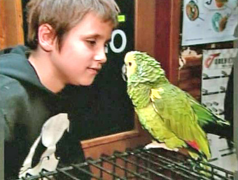 Papagaj spasio život ocu i sinu