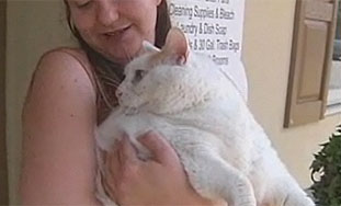 U New Jerseyu pronađena maca teška 20 kilograma
