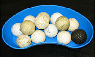 13 loptica za golf izvađeno iz pasjeg želuca
